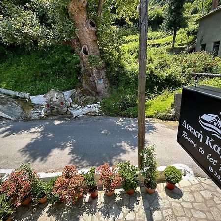 Λευκή Καμέλια Hotell Anilio Pelion Eksteriør bilde
