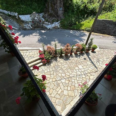 Λευκή Καμέλια Hotell Anilio Pelion Eksteriør bilde