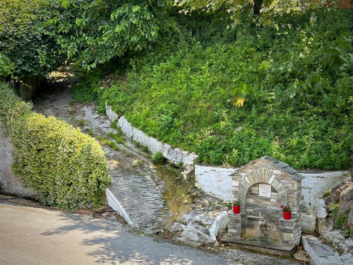 Λευκή Καμέλια Hotell Anilio Pelion Eksteriør bilde