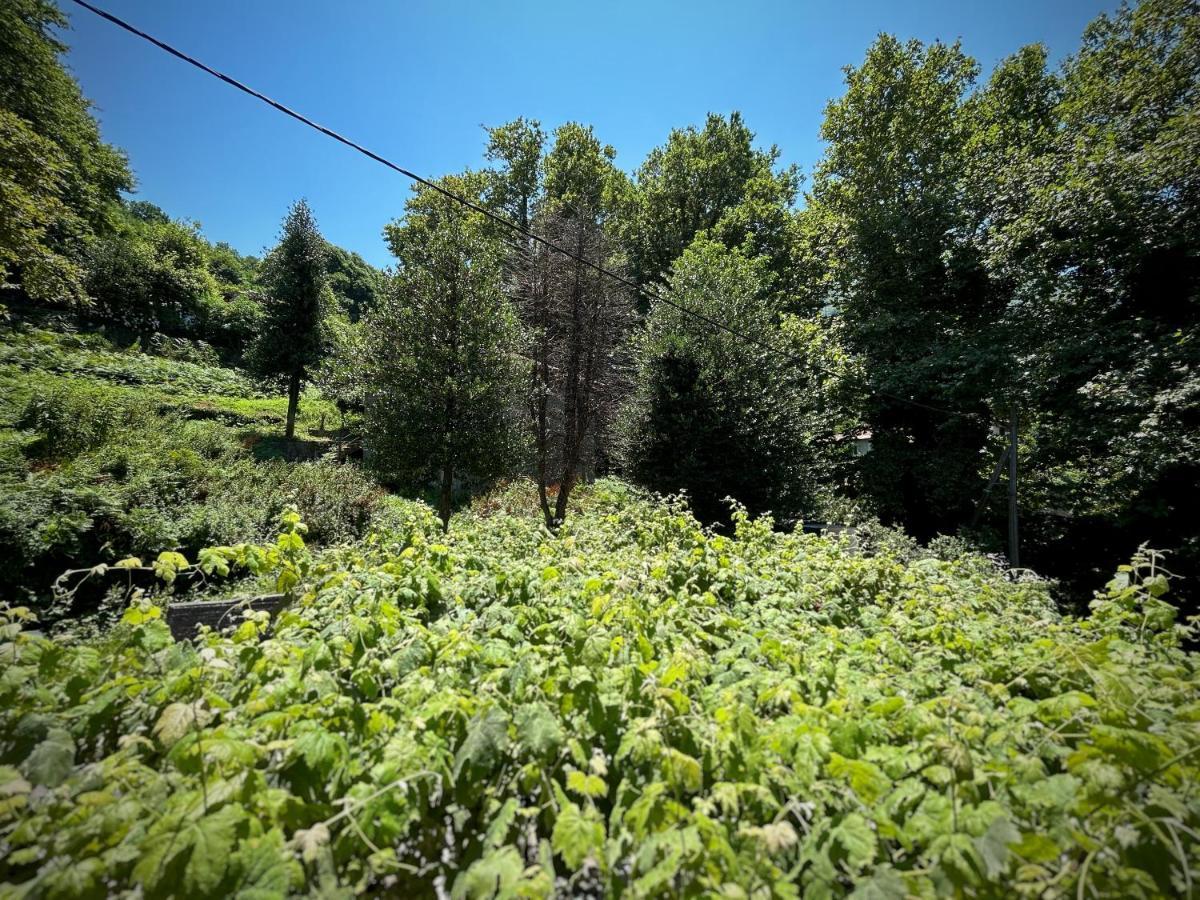 Λευκή Καμέλια Hotell Anilio Pelion Eksteriør bilde