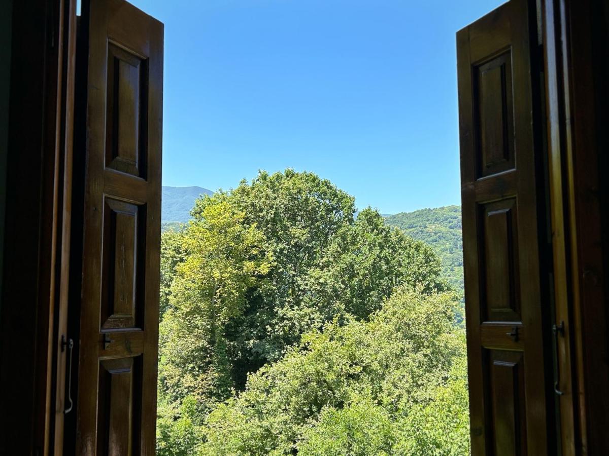 Λευκή Καμέλια Hotell Anilio Pelion Eksteriør bilde