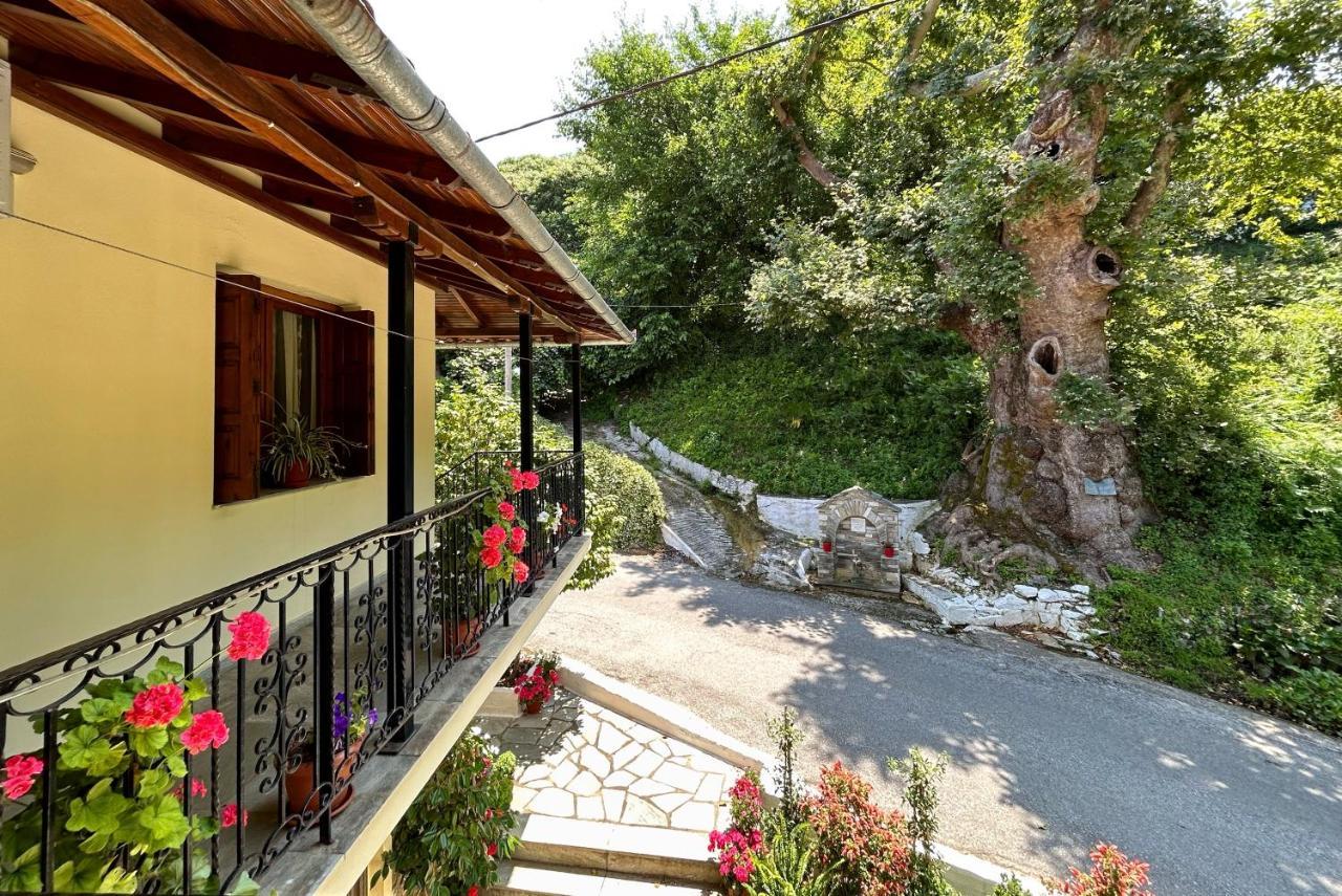 Λευκή Καμέλια Hotell Anilio Pelion Eksteriør bilde