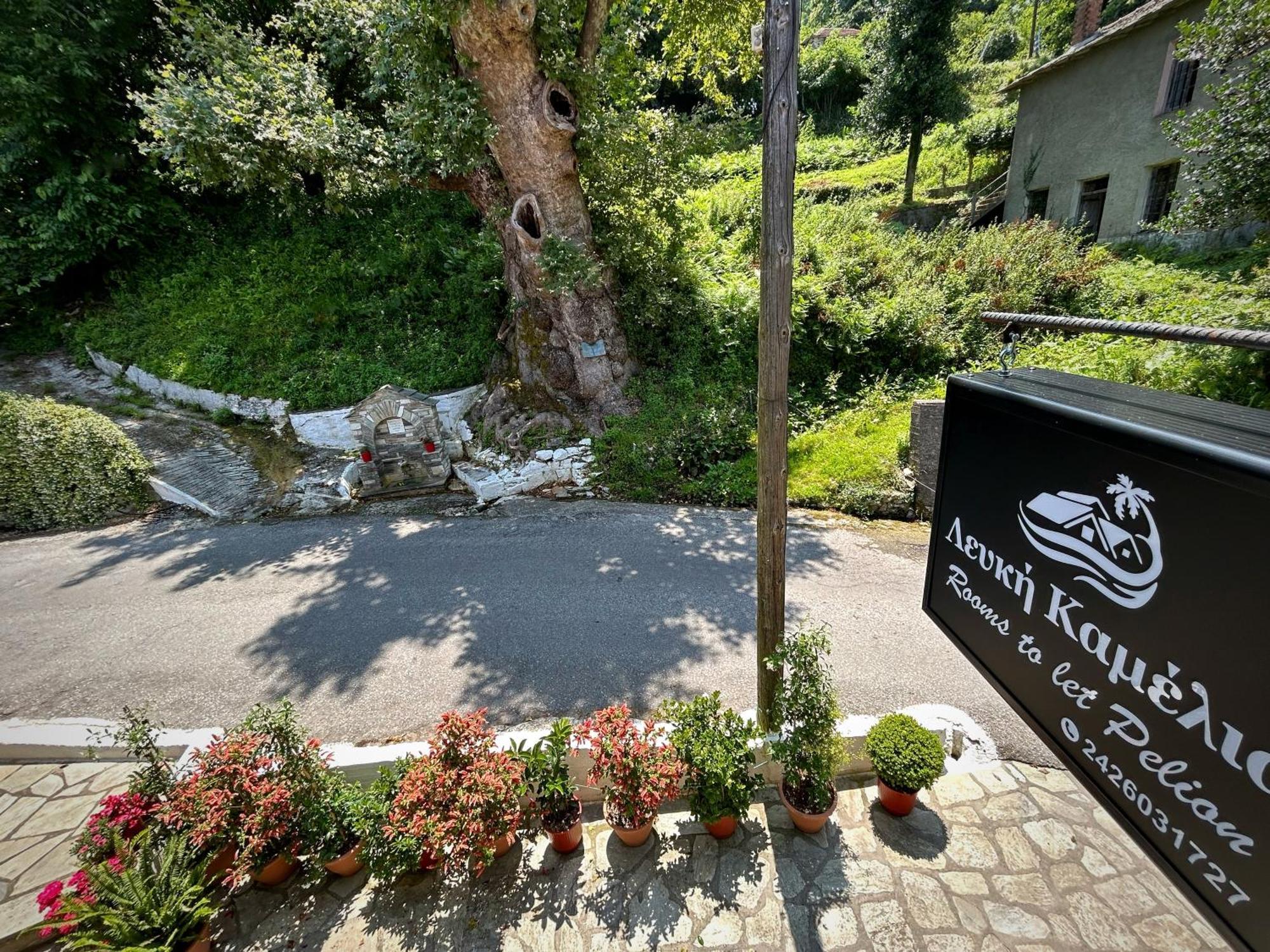 Λευκή Καμέλια Hotell Anilio Pelion Eksteriør bilde