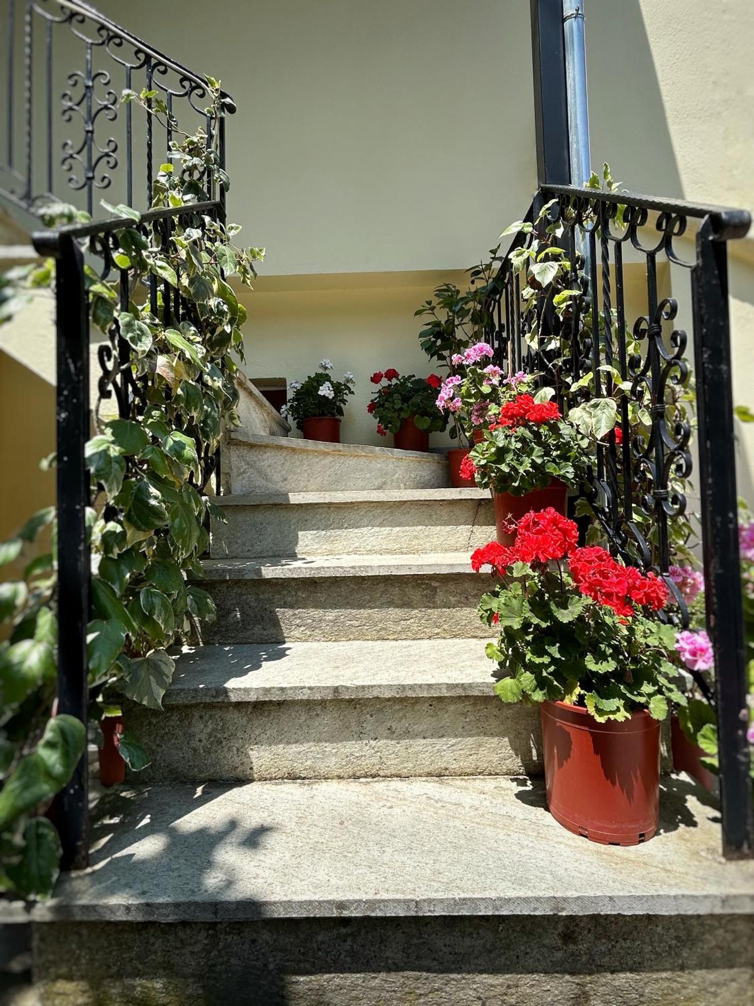 Λευκή Καμέλια Hotell Anilio Pelion Eksteriør bilde