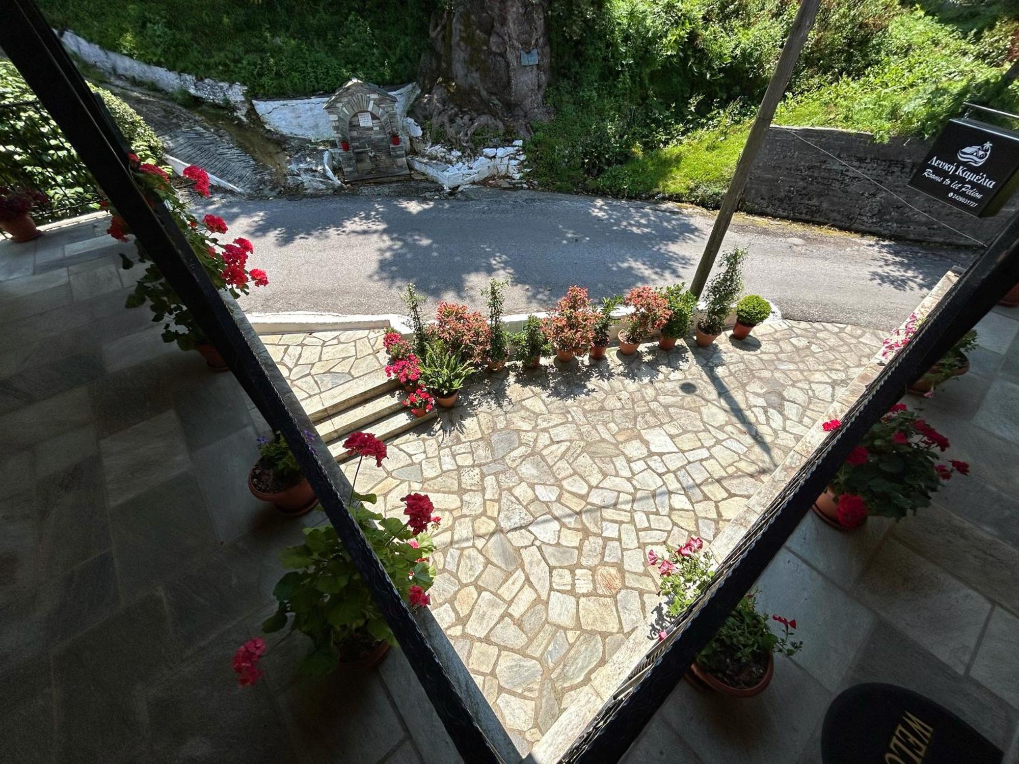 Λευκή Καμέλια Hotell Anilio Pelion Eksteriør bilde
