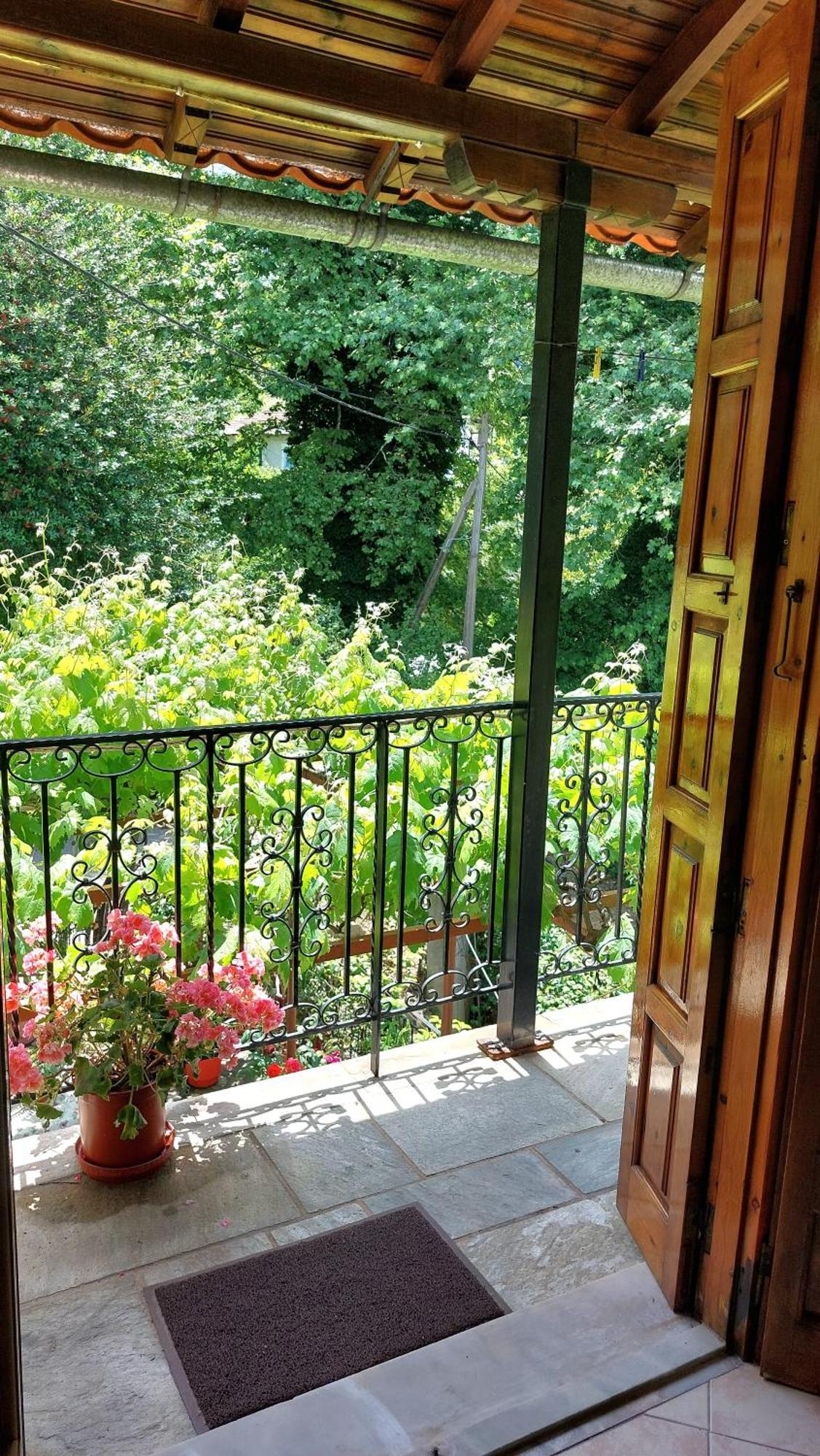 Λευκή Καμέλια Hotell Anilio Pelion Eksteriør bilde
