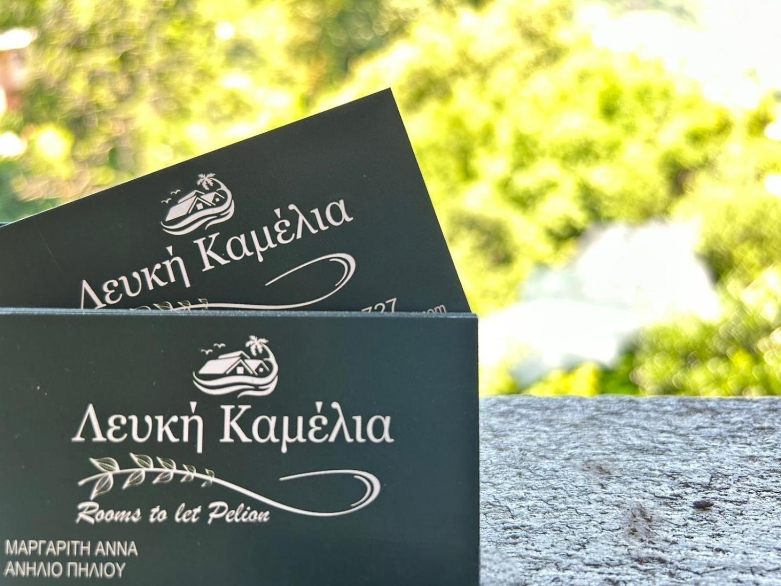 Λευκή Καμέλια Hotell Anilio Pelion Eksteriør bilde